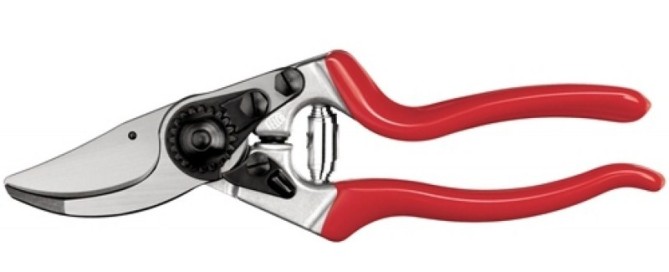 Felco Pruner