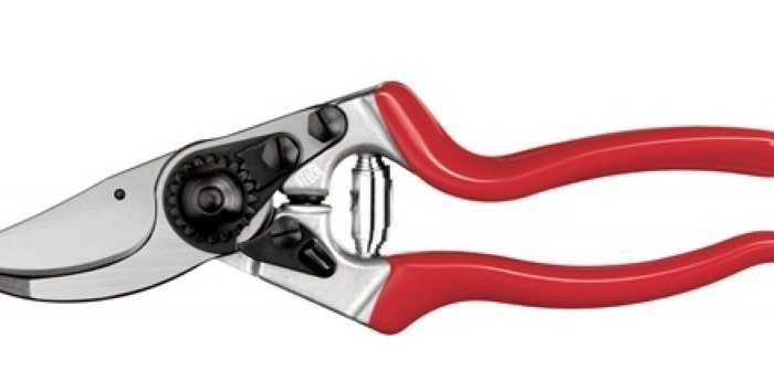 Felco Pruner