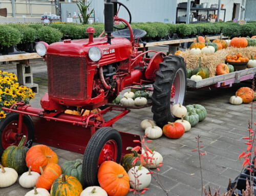 Fall Has Arrived at the Nursery